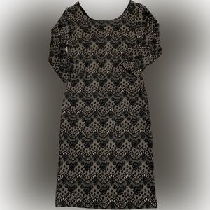 New York & Company Lace Fabric Dress